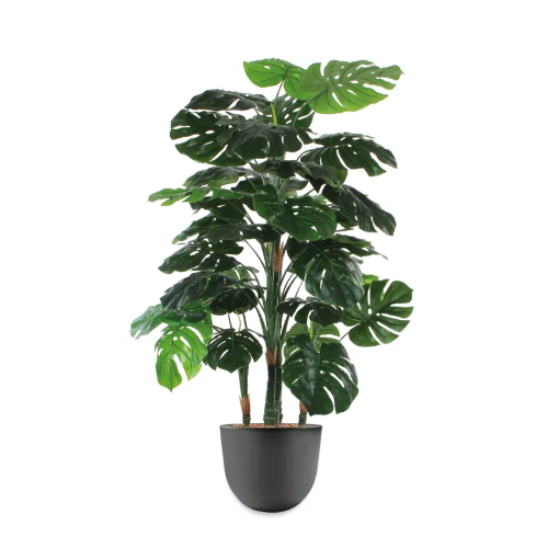 Monstera kunstplant, H145cm