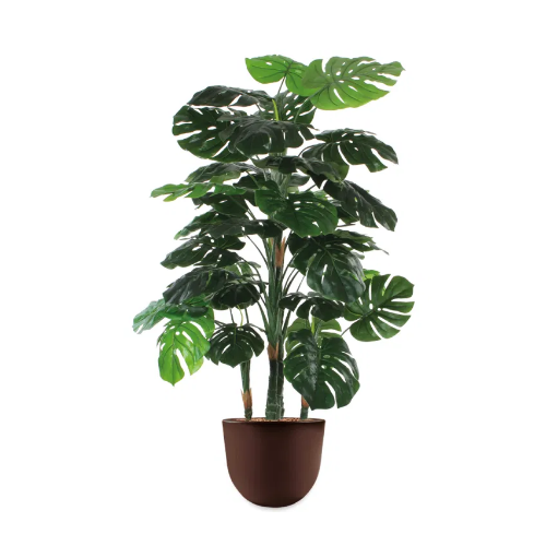 Monstera kunstplant, H145cm