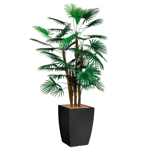 Rhapis Palm kunstplant, H150cm