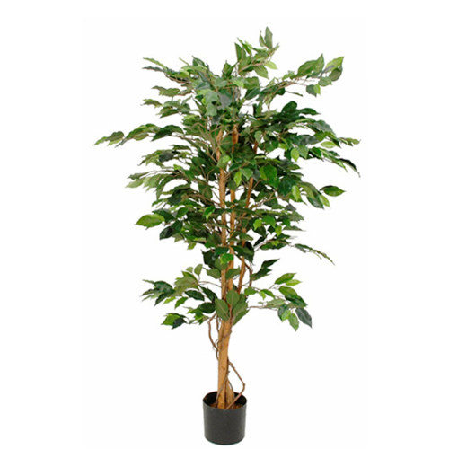 Ficus Benjamina kunstplant, hoogte 150cm
