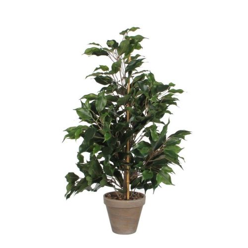 Ficus Exotica kunstplant, hoogte 65cm