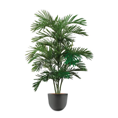 Areca Palm kunstplant, H160cm