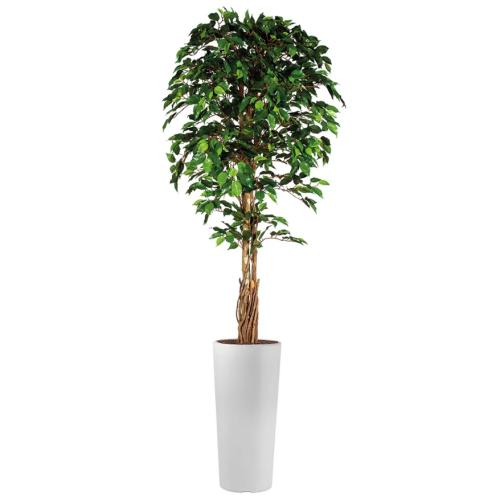 Ficus kunstplant, H250cm