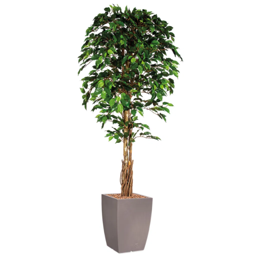 Ficus kunstplant, H210cm