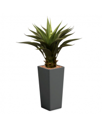 Kunstplant Agave Vetplant in sierpot Clou vierkant - H105