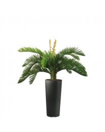Kunstplant Cycas in sierpot Clou rond - H105