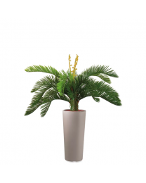Kunstplant Cycas in sierpot Clou rond - H105