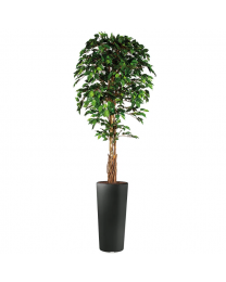 Kunstplant Ficus in sierpot Clou rond - H250
