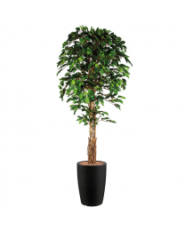 Kunstplant Ficus in sierpot Genesis rond - H210