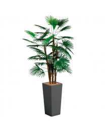 Kunstplant Rhapis Palm in sierpot Clou vierkant - H185