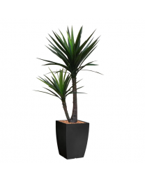 Kunstplant Yucca in sierpot Genesis vierkant - H150